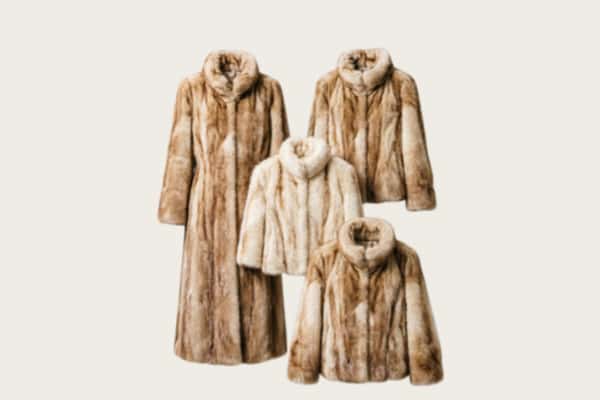 昂仁县回收皮草衣服